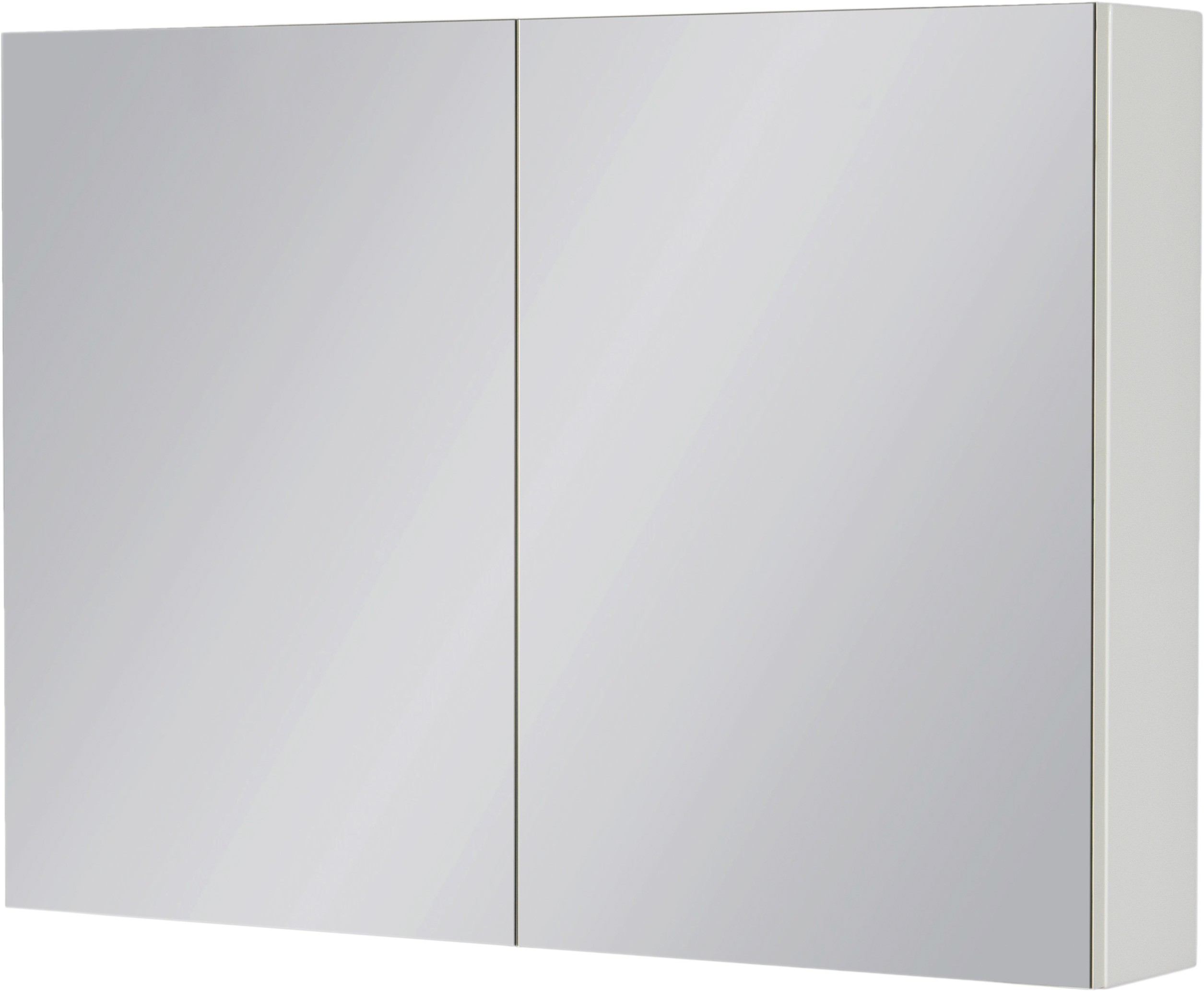 mirrored cabinet