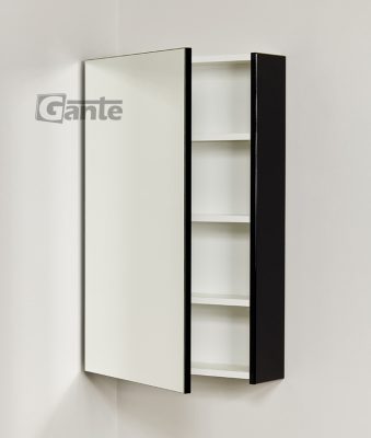 Black cabinet with mirror