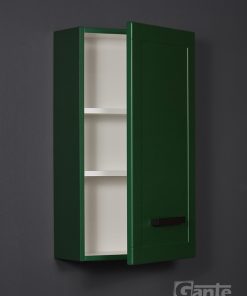 bathroom cabinet in green