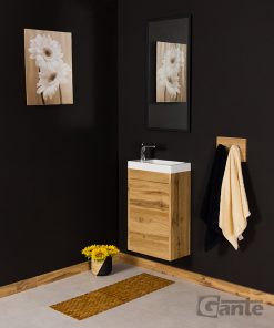 cloak room vanity unit